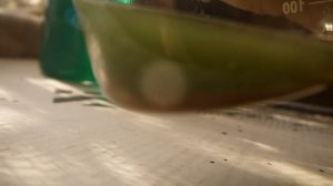 ВЫДЕЛЯЮ ЗОЛОТО С ПОМОЩЬЮ ..ОТРАБОТАННОГО.. РАСТВОРА.