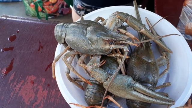 Смешной рак смотреть онлайн