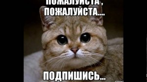Это я, когда кто-то включил мою любимую песню