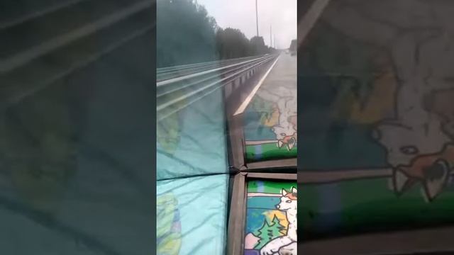"Телега жизни" А.С. Пушкин читает специалист по грибу чага Сквазников Н.М. ФитоДар