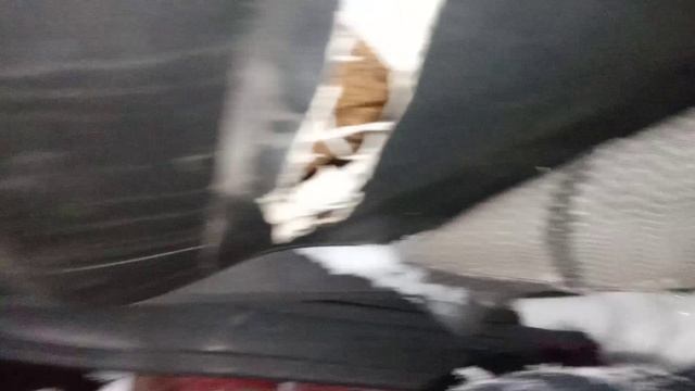 1000000458.mp4 смотреть онлайн