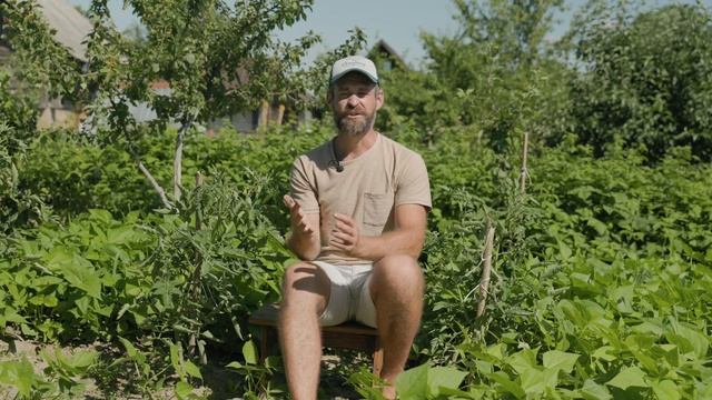 ОПАСНАЯ БОЛЕЗНЬ ТОМАТОВ КЛАДОСПОРИОЗ. Как не допустить это заболевание и лечить если оно появилось?