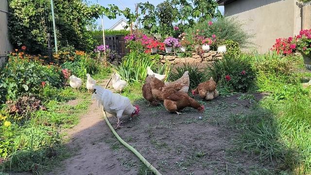 Скучаю по лету.
