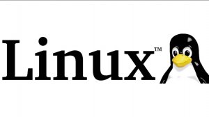 Linux: философия свободы и мощи