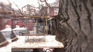западок из сетки