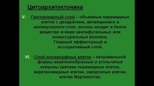 Кора больших полушарий. Гистологическое строение