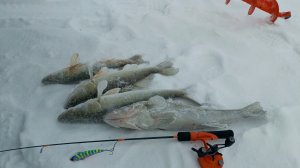 ШТОРМОВОЙ ВЕТЕР......НЕ НЕ СЛЫШАЛ.РЫБАЛКА НА СУДАКА В СИЛЬНЫЙ ВЕТЕР.ПОПАЛИ НА ВЕЧЕРНИЙ ХАПОК.
