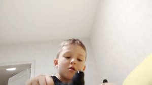 обзор гуджицу
