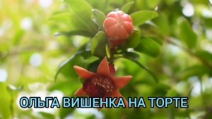 УЗБЕК ЕДЕТ В ГОСТИ К УРАЛКЕ. ТАШКЕНТСКИЙ ПАРЕНЁК С УРАЛА. ОБЗОР ВЛОГА.