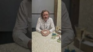 С новым 2025 годом, шилопопики