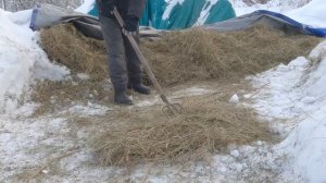 Как живут зимой в деревне (реальная деревенская жизнь)