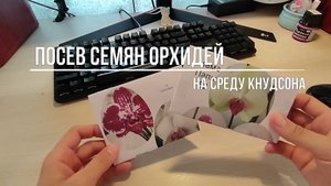 2-1 Первый ПОСЕВ СЕМЯН ОРХИДЕЙ на ПИТАТЕЛЬНУЮ СРЕДУ