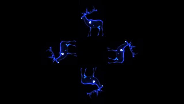 The best 3D hologram! Fantastic deer! #hologram #голограмма #3dhologram смотреть онлайн