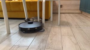 ЭТОТ ПЫЛЕСОС НЕ БОИТСЯ КОШЕК ECOVACS DEEBOT T30S COMBO