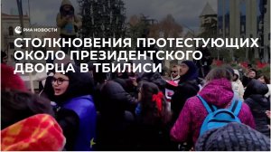 Столкновения протестующих около президентского дворца в Тбилиси