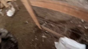 ЧТО С НИМ СТАЛО ? СТРОИТЬ БУДЕМ ! ДОСКИ ПРИВЕЗЛИ ! ХУТОР В ЛЕСУ №556