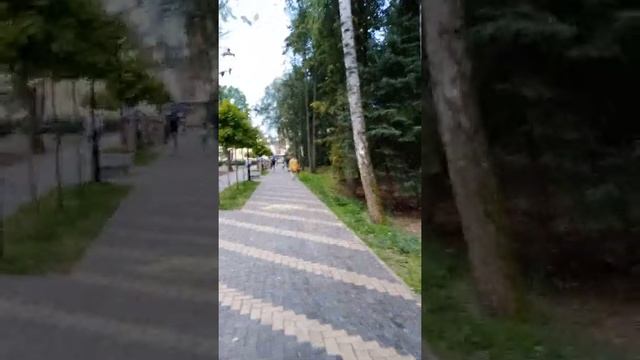 Как выглядит парк в пос. Дедовск ?