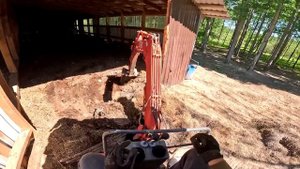 ЧТО С НИМИ СТАЛО ? ТАКОГО У МЕНЯ ЕЩЕ НИКОГДА НЕ БЫЛО ! ХУТОР В ЛЕСУ №351