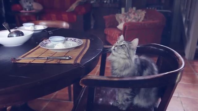 Звездочка / The Little Star смотреть онлайн