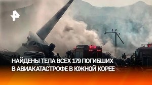 "Из двигателя виднелось пламя": что известно о крушении самолета в Южной Корее