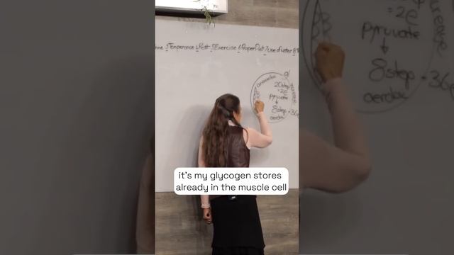The Body's Ingenious Design: Fueling High- Intensity Activities