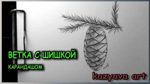 Как нарисовать ШИШКУ карандашом. Поэтапное рисование.