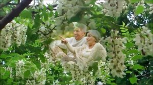 Белой акации гроздья душистые...