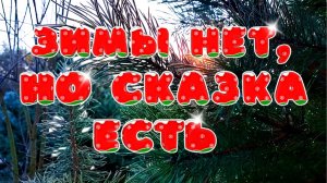 Зимы нет , но сказка есть .