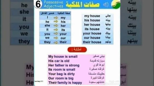Pronouns Verb be singular and plural Possessive adjectives and demonstrative pronouns😊🌸🌼 смотреть онлайн