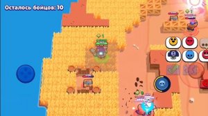 играю в браво старс