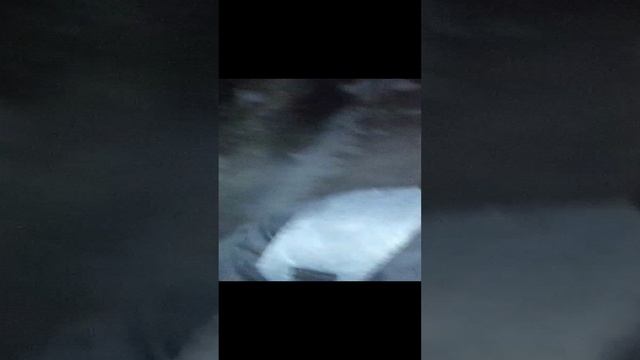 1000000459.mp4 смотреть онлайн