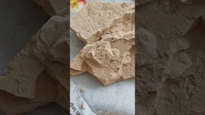 Глина Туркестан кудрявый /Clay Turkestan curly