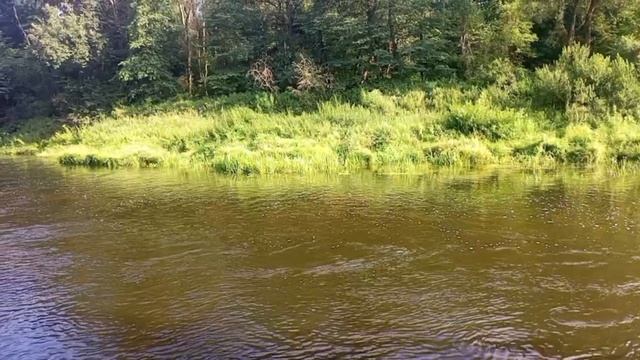 Крути крути, вжимайся)