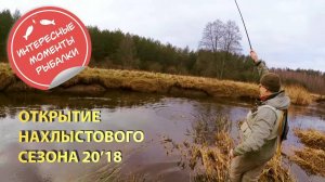 Открытие нахлыстового сезона. Тенкара и нимфы (tenkara nymphing).