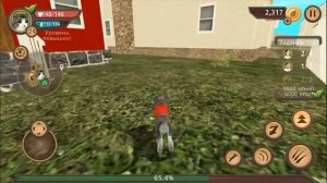 СИМУЛЯТОР КОТЕНКА #8 ОХОТИМСЯ С ЛЮДЬМИ приключение КОТОВ в Cat Sim