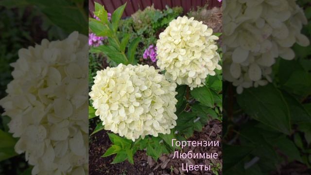 Для настроения!!!🌹