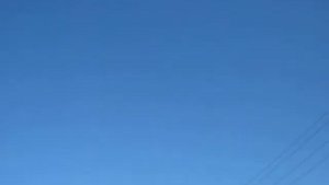 разгон голубей. тех что не гонялись.