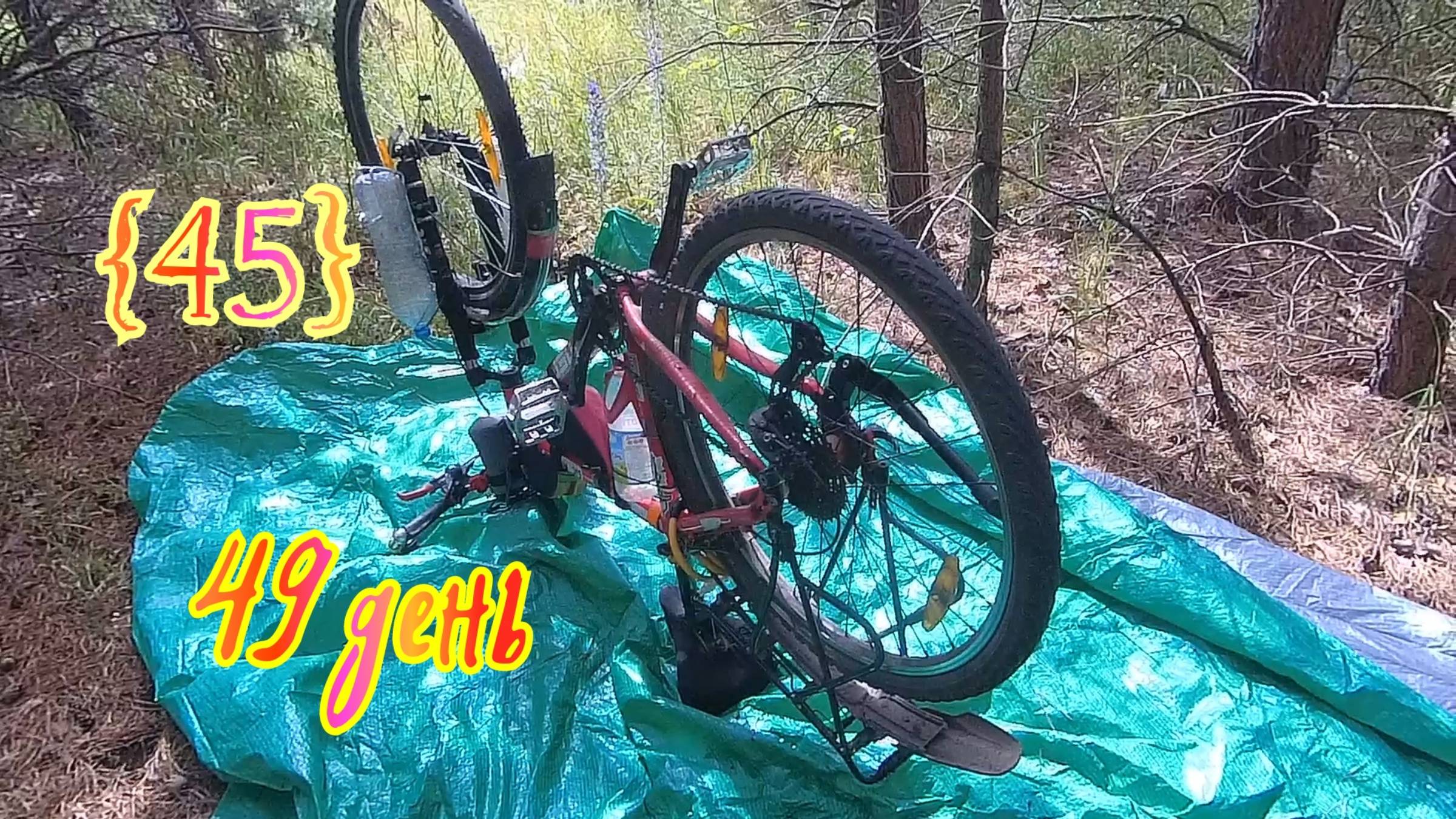 45🚴_♀️. Ремонт монетки, Димитровград . день 49. 2800км