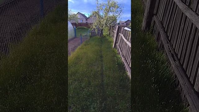 Тропинка от ХВОСТАТЫХ! смотреть онлайн