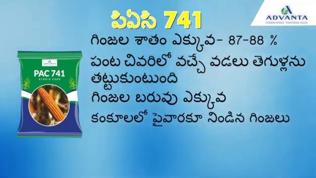 PAC 741 смотреть онлайн