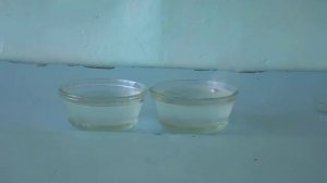 Взаимодействие лития и натрия с водой