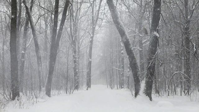 Кровожадные волки держали в страхе всю деревню, пока на бой не вышел отвергнутый стаей хищник смотреть онлайн