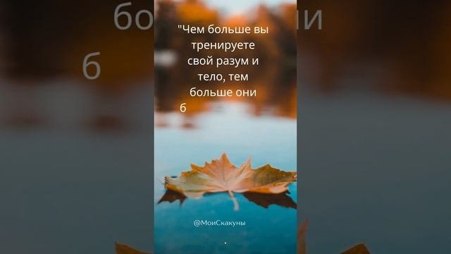 #цитатысосмыслом #золотыеслова #мудрыеслова