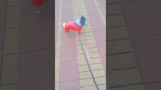 1000036804.mp4