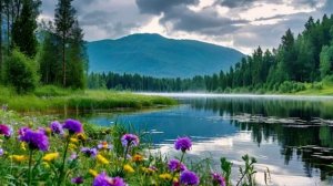 Kaoru Akimoto • 愛情 • Affection