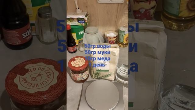 Пшеничная закваска. Зарождение. День 1