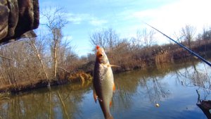 Рыбалка на реке перед новым годом. Конец декабря 2024