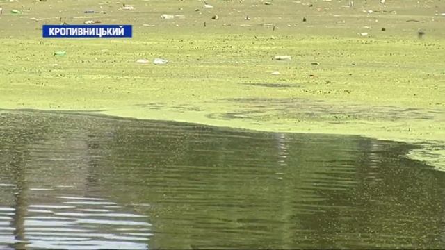 Цвітіння води смотреть онлайн