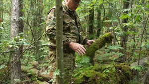 ЭТО ЧУДО ИЗ РАЯ