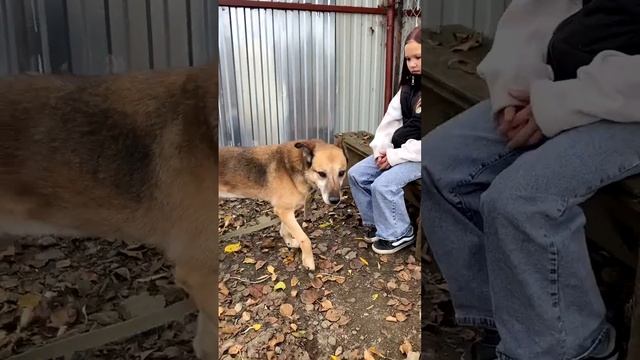 Митя, Митенька, Митюша. 
Не родись красивым, а родись счастливым!